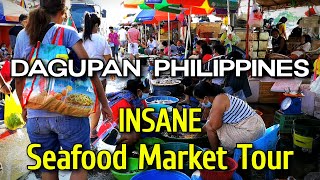 DAGUPAN CITY SEAFOOD MARKET of PANGASINAN  BIGGEST FISH MARKET to Buy BANGUS in Philippines [upl. by Ramsay916]