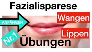 Nr1 Gesichtslähmung verbessern 4 Übungen für Lippen  Wangen Fazialisparese AnfängerDehnungen [upl. by Darleen]