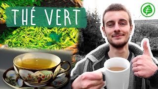 Le THÉ VERT  Boisson Miracle  Bienfaits amp Vertus [upl. by Lecirg]