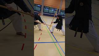 Kobudo Kumite Bo Kumi Waza [upl. by Carlotta936]