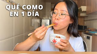 Qué Como en 1 DÍA 13 😋  Cocina con Coqui [upl. by Nohsram]