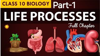 Ch5  Life process  Part1  Class10 Ncert science [upl. by Ettedanreb]