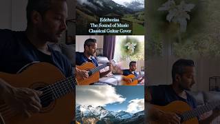 Edelweiss  The Sound of Music  Guitar Cover [upl. by Agnot]