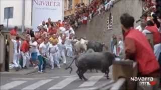 Encierro San Fermin 2015 El toro que no quiso correr [upl. by Aneem]