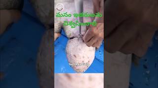 pets doglover youtubeviral love telugushorts telugucomedy srikakulam vishakapatnam china [upl. by Jannel]