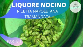 Nocino Ricetta Napoletana Tramandata [upl. by Esch]