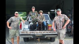 Boykin Spaniels First EVER Dove Hunt [upl. by Sorce]