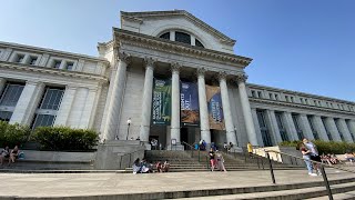 National Museum of Natural History  Washington DC [upl. by Garret]