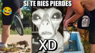 Los Mejores VIDEOS RANDOM 57 RECOPILACIÓN Si Te Ries Pierdes Videos De Risa Funny Memes [upl. by Rellim]