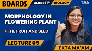 Morphology in Flowering Plants Class 11 L5  Class 11 Biology Chapter 5  CBSE 2024  Ekta Mam [upl. by Irbua268]