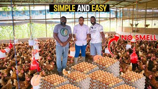 How To Start a Successful Poultry Farm as a BEGINNER in Ghana poultry poultryfarm poultryfarming [upl. by Silsby]