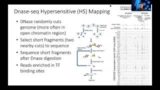 STAT115 Chapter 135 Introduction to DNaseseq and ATACseq [upl. by Lasky]