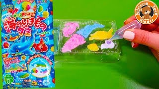 Kracie popin Cookin DIY 🍬🐟 süße bunte Fische zum selber machen  Kinderkanal [upl. by Essyle339]