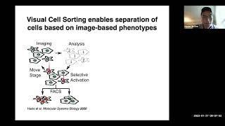 Imagebased sorting of mouse embryoderived nuclei [upl. by Ymrots]