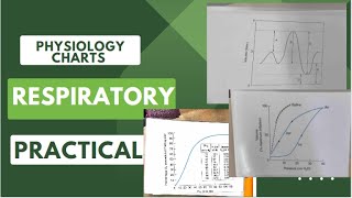 Mastering Respiratory Physiology Charts Essential Tips for MBBS Professional exams [upl. by Neslund429]