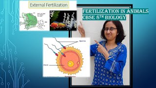 FertilizationInternalexternalInVitroViviparousoviparousDevelopmentofEmbryoCBSE8thScience [upl. by Russel444]