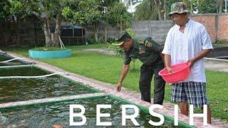 cara membuat kolam tetap bersih saat memberi makan ikan [upl. by Wolpert]