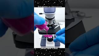 Nail Polish Microscopeൽ വെച്ചപ്പോൾ🤮😱💅 shortsvideo m4tech mrzthoppi [upl. by Suoiradal]