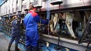 DeLaval Harmony Plus [upl. by Camfort]