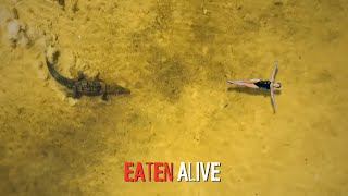 5 Shocking True Stories of Crocodile Attacks [upl. by Lebam679]