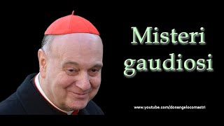 Mons Angelo Comastri – Misteri gaudiosi del Santo Rosario [upl. by Blondie]