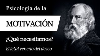 PSICOLOGÍA de la MOTIVACIÓN  ¿Qué Influye en nuestro COMPORTAMIENTO y qué NECESITAMOS Realmente [upl. by Otxilac]