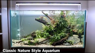 Nature Aquarium Aquascape Tutorial  Low Maintenance Home Aquascape Step by Step [upl. by Teferi]