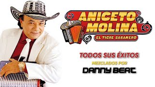 Aniceto Molina Mix Navideño Solo Éxitos 20242025🎄🎅 [upl. by Anneyehc]