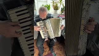 Accordion Rhuthmus 34 accordion 80 Bass 34 keys 3 voices 53 register Germany accordion SALE [upl. by Leonidas]