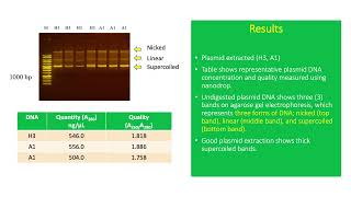 Plasmids Extrachromosomal Circular DNA used in Cloning [upl. by Coulson]