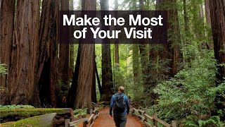 Muir Woods National Monument MustDo Hikes [upl. by Bridge304]