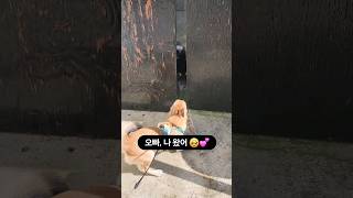 썸타는 동네 진도믹스들🤣💕 명철❤️복덩 [upl. by Ennad701]