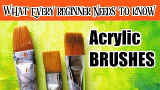 Acrylic Brushes Everything a Beginner Needs to Know and forgot to tell YOU 4  The Art Sherpa [upl. by Ennylhsa]