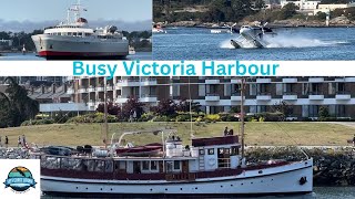 Monday Bonus Seaplanes amp Classic Boats Serendipity at Victoria Harbour in Victoria BC Canada [upl. by Parsifal686]