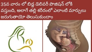 Thirtyfive35th week pregnancy details in Telugu  Baby development  Thirtyfiveweekpregnancy [upl. by Yltneb321]