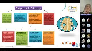 Web 1 Curso de Neuropsicología campos  Neuroanatomía Áreas de Brodmann [upl. by Nehpets]