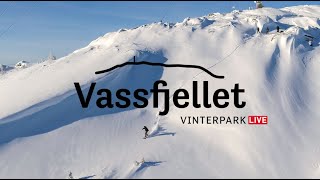 Vassfjellet LIVE [upl. by Eibba970]