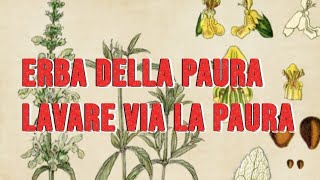 LErba della Paura Scopri la Siderite Antica Tradizione Italiana [upl. by Fillender198]