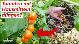 Tomaten nur mit Hausmitteln düngen  Geht das [upl. by Oakleil]