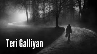 Teri Galiyan Slowed  Reverb Ek Villain  Total Lofi Song Channel  Textaudio [upl. by Nimesh]