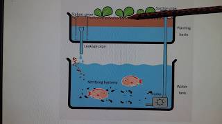 HOW TO MAKE YOUR OWN AQUARIUM  Step by Step Tutorial [upl. by Ambrosius]