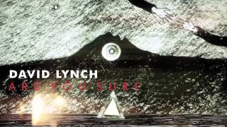 David Lynch Are You Sure OFFICIAL AUDIO [upl. by Molohs94]