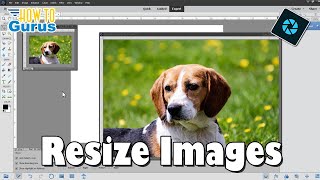 Resize Images the Right Way in Photoshop Elements [upl. by Jeramey640]