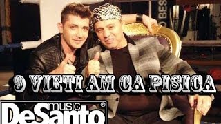 NICOLAE GUTA amp DESANTO  NOUA VIETI CA PISICA Official Video [upl. by Nytsirk]