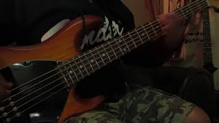 La Flaca  Jarabe de Palo  Bass Cover [upl. by Salomi]