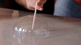 How to Do a Science Experiment w Bubbles  Science Projects [upl. by Eetnahc]