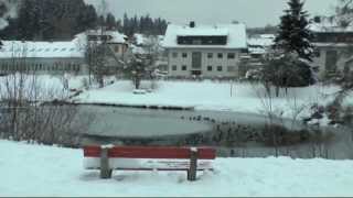 Tour rund um Lenzkirch Hochschwarzwald [upl. by Nawor]