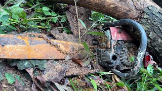 Rescue and Restoration CHAINSAWS Old Abandoned in the Forest [upl. by Ettenrahc]