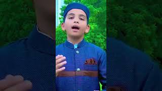 Sare Jahan Se Acha Hindustan Hamara  S5  By Ammar Asad [upl. by Letsirk]