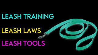 Leash Laws Leash Training Tools and more [upl. by Notlih]